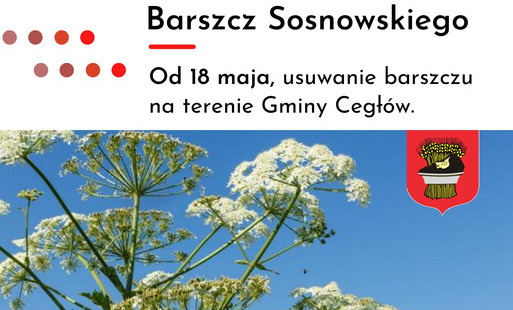 Zdjęcie do Informacja dla Mieszkańc&oacute;w Gminy Cegł&oacute;w