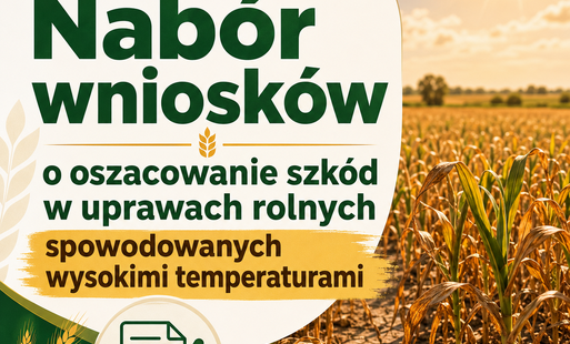 Zdjęcie do Nab&oacute;r wniosk&oacute;w o oszacowanie szk&oacute;d w uprawach rolnych spowodowanych wysokimi temperaturami